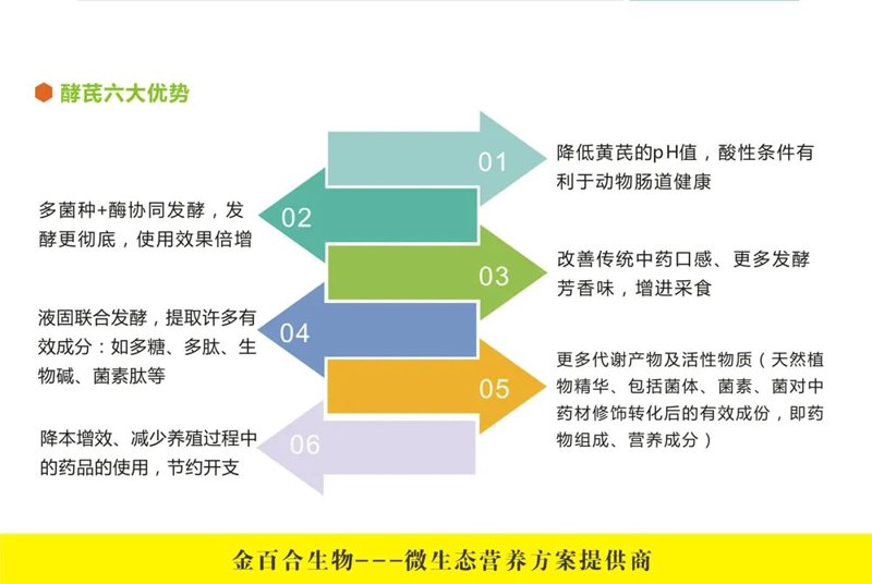 中药酶产品