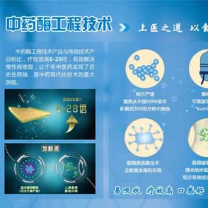 第四类药物 发酵中药 中药酶工程